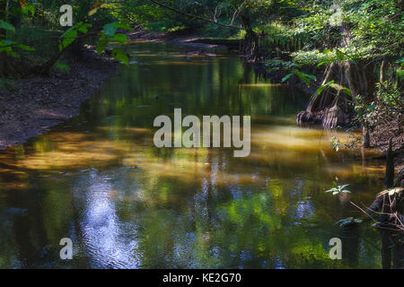 Die Farben des Himmels und Laub sind in einem Bach in der Nähe von starkville, Ms wider. Stockfoto