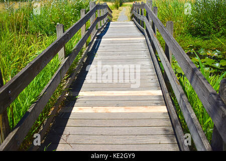 Holzbrücke mit neuen Planken bei Tennant Lake Park in Ferndale, Washington Stockfoto