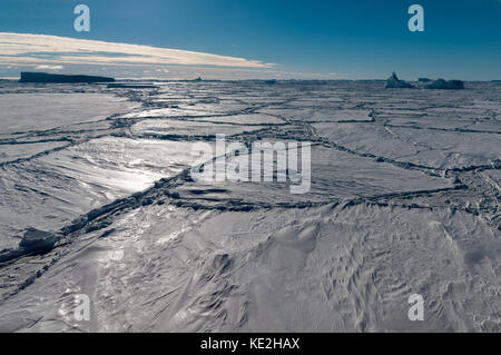 Dick verschneite Packeis und Eisbergen in der Antarktis gefangen Stockfoto