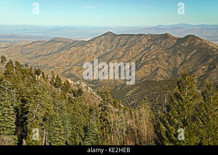 Panoramablick vom Mt. Lemmon Ski Valley Stockfoto