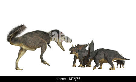 Daspletosaurus greift eine Gruppe von Chasmosaurus-Dinosauriern an. Stockfoto
