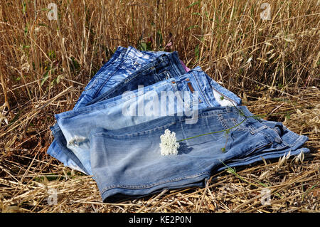 Jeans und Weizen Hintergrund Stockfoto