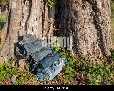Stapel von Jeans vor Baumstamm Stockfoto