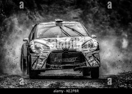 Citroen DS3 auf der WRC World Rally Championship, Wales Rally GB, Wales, Großbritannien Stockfoto