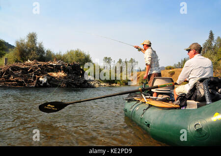 Ein Fliegenfischer sucht ein nettes Steelhead aus einem deadfall entlang der schönen Trinity River. Stockfoto