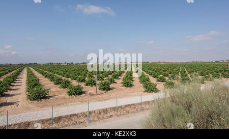 El Cabezo Gordo Felsformation Murcia, Spanien Stockfoto