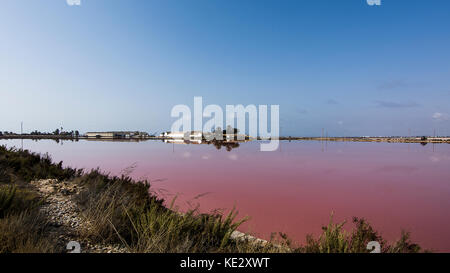 Salinen von San Pedro del Pinatar Stockfoto