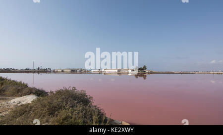 Salinen von San Pedro del Pinatar Stockfoto