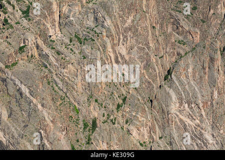 Nahaufnahme der Canyon-Wand mit Pegmatitdeichen, die durch präkambrischen Gneis und Schiefer verlaufen, Black Canyon des Gunnison-Nationalparks, Colorado, U Stockfoto
