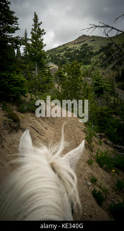 Im Süden Chilcotin Mountain Park, BC, Kanada Stockfoto