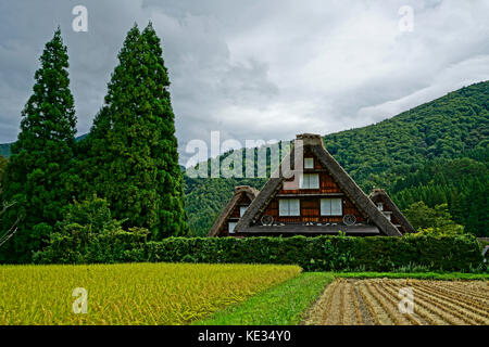 Shirakawago im Herbst Stockfoto