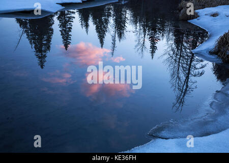 Reflexion bei Sonnenuntergang, Vermilion Lakes, Banff National Park, Alberta Stockfoto