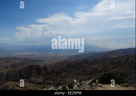 Taste Blick in Joshua Tree National Park Stockfoto