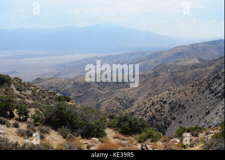 Taste Blick in Joshua Tree National Park Stockfoto