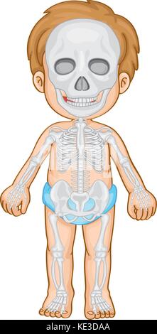 Skelettsystem in menschlichen junge Abbildung Stock Vektor