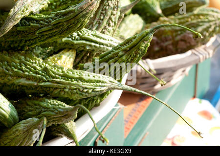 Bitter Melone, Momordica Charantiar Stockfoto