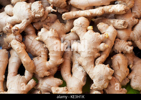 Frischer Ingwer, Zingiber Officinale im Markt Stockfoto