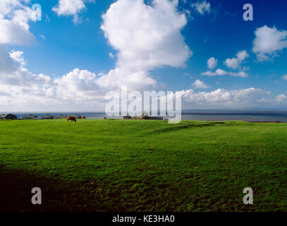 Maryport, Cumbria, Großbritannien: Roman Fort est. früh C2ndAD. Ansicht W angezeigt fort Plattform mit der NE Ecke Tower (Mitte vorne) und externe Gräben. Stockfoto