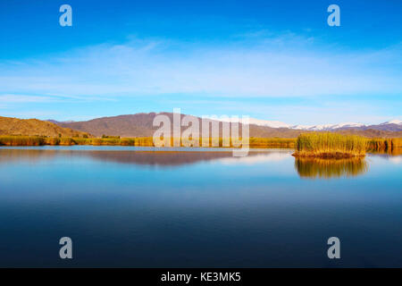 Xinjiang, China. Oktober 2017. (NUR FÜR REDAKTIONELLE VERWENDUNG. CHINA OUT) Herbstlandschaft des Kanas Lake, Nordwesten Chinas Xinjiang. Der Kanas Lake ist ein See in der Präfektur Altay in Xinjiang, China. Der See liegt in einem Tal im Altai-Gebirge, nahe der Nordspitze von Xinjiang und der Grenze der Provinz zu Kasachstan, der Mongolei und Russland. Quelle: ZUMA Press, Inc./Alamy Live News Stockfoto