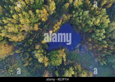 Köln, Deutschland. Oktober 2017. Ein Teich in einem herbstlichen Wald spiegelt den blauen Himmel in Köln, Deutschland, 18. Oktober 2017. (Mit einer Drohne aufgenommen.) Quelle: Henning Kaiser/dpa/Alamy Live News Stockfoto