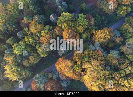 Köln, Deutschland. Oktober 2017. Die Morgensonne scheint auf einem herbstlichen Wald in Köln, Deutschland, 18. Oktober 2017. (Mit einer Drohne aufgenommen.) Quelle: Henning Kaiser/dpa/Alamy Live News Stockfoto