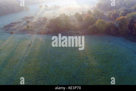 Köln, Deutschland. Oktober 2017. Die Sonne scheint über Herbstbäumen in Köln, Deutschland, 18. Oktober 2017. (Mit einer Drohne aufgenommen.) Quelle: Henning Kaiser/dpa/Alamy Live News Stockfoto