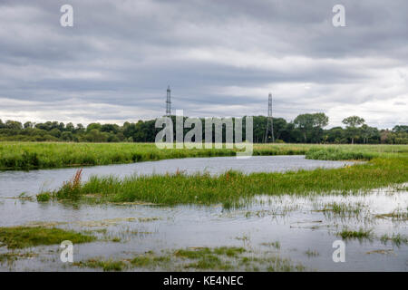 Wattenmeer auf dem unteren Fluss-Test in der Test-Tal-Mündung in Southampton Water Totton, Ealing und Redbridge, Southampton, Hants, Großbritannien Stockfoto