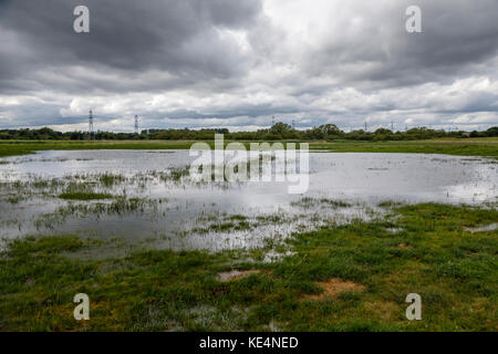 Wattenmeer auf dem unteren Fluss-Test in der Test-Tal-Mündung in Southampton Water Totton, Ealing und Redbridge, Southampton, Hants, Großbritannien Stockfoto