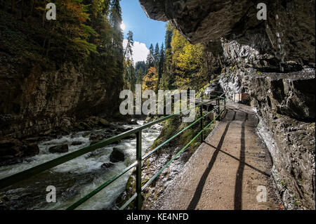 Herbst in der Breitachschlucht im Kleinwalsertal/Vorarlberg. Stockfoto