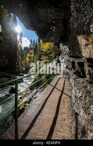 Herbst in der Breitachschlucht im Kleinwalsertal/Vorarlberg. Stockfoto