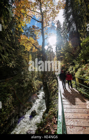 Herbst in der Breitachschlucht im Kleinwalsertal/Vorarlberg. Stockfoto