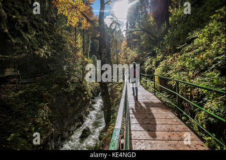 Herbst in der Breitachschlucht im Kleinwalsertal/Vorarlberg. Stockfoto