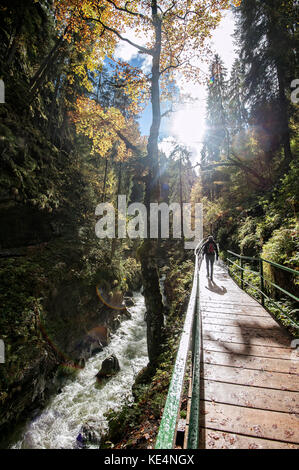 Herbst in der Breitachschlucht im Kleinwalsertal/Vorarlberg. Stockfoto