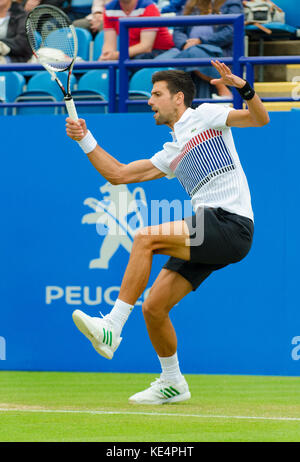 Novak Djokovic (Serbien) spielt seine Halbfinale auf dem Center Court in der Aegon International, Eastbourne, 2017 Stockfoto