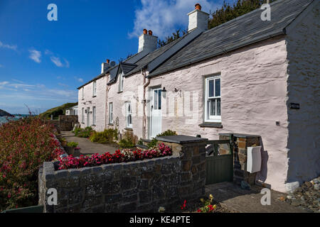 Rosa holiday cottages im Abercastle. Stockfoto