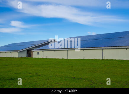 Sonnenkollektoren auf moderne landwirtschaftliche Gebäude mit blauer Himmel und grünes Gras, Schleswig-Holstein, Deutschland. Stockfoto