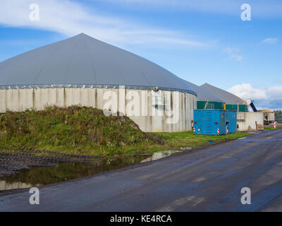 Biogas Energie Anlage auf der Farm auf dem Land mit blauem Himmel, Schleswig-Holstein, Deutschland. Stockfoto