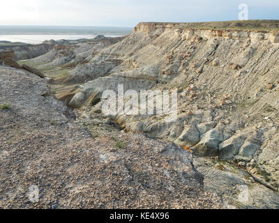 Steppe Felsen. Pol. trockene Landschaft. Kasachstan. Mangistau Region. Stockfoto