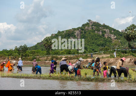 Reis Festival. Die Menschen im Dorf pflanze Reis für Khmer Pagode im Festival. Mekong Delta River, ein Giang Provinz, Vietnam Stockfoto