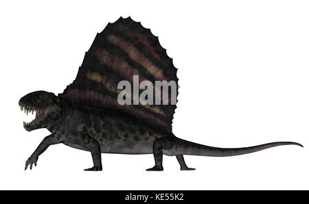 Dimetrodon Dinosaurier - 3D-Rendering Stockfoto