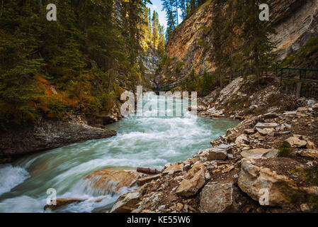 Gehweg entlang der Johnston Creek im Bow Valley Parkway, Banff National Park Stockfoto