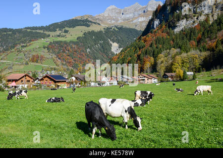 Engelberg, Schweiz - 15. Oktober 2017: die ländliche Landschaft bei dem Dorf Engelberg in den Schweizer Alpen Stockfoto