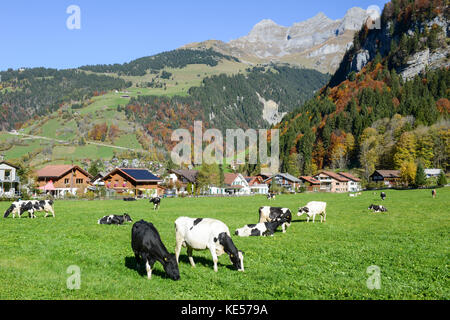 Engelberg, Schweiz - 15. Oktober 2017: die ländliche Landschaft bei dem Dorf Engelberg in den Schweizer Alpen Stockfoto