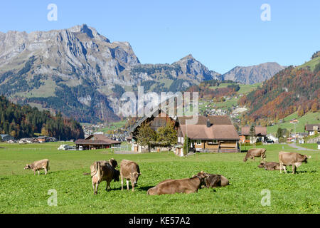 Engelberg, Schweiz - 15. Oktober 2017: die ländliche Landschaft bei dem Dorf Engelberg in den Schweizer Alpen Stockfoto