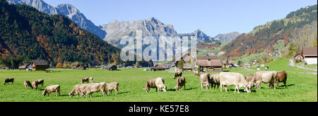 Engelberg, Schweiz - 15. Oktober 2017: die ländliche Landschaft bei dem Dorf Engelberg in den Schweizer Alpen Stockfoto