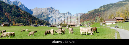 Engelberg, Schweiz - 15. Oktober 2017: die ländliche Landschaft bei dem Dorf Engelberg in den Schweizer Alpen Stockfoto