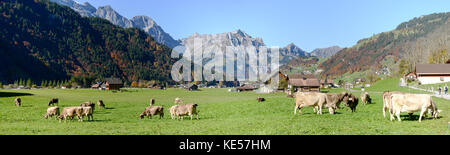 Engelberg, Schweiz - 15. Oktober 2017: die ländliche Landschaft bei dem Dorf Engelberg in den Schweizer Alpen Stockfoto