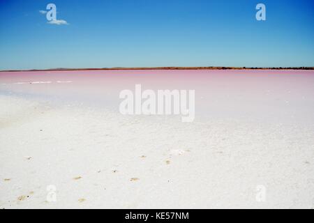 Die rosa See auf dem Weg nach Zentral Australien aufgetreten, nicht weit entfernt von Adelaide. Pic im November 2016 getroffen wurde. Stockfoto