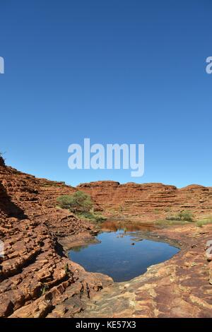 Wandern rund um den Kings Canyon, rund 2 Stunden mit dem Auto von uluru. Pic im November 2016 getroffen wurde. Stockfoto