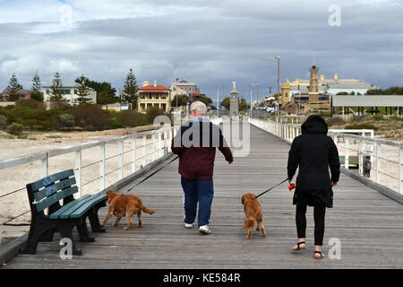 Die Aktivitäten rund um die Stadt Adelaide, Australien. die Leute gehen mit ihren Hunden. Pic wurde im November 2016 getroffen. Stockfoto